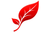Kin